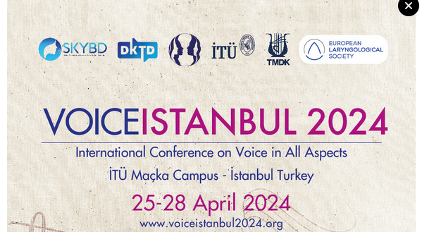 Voice Istanbul 2024